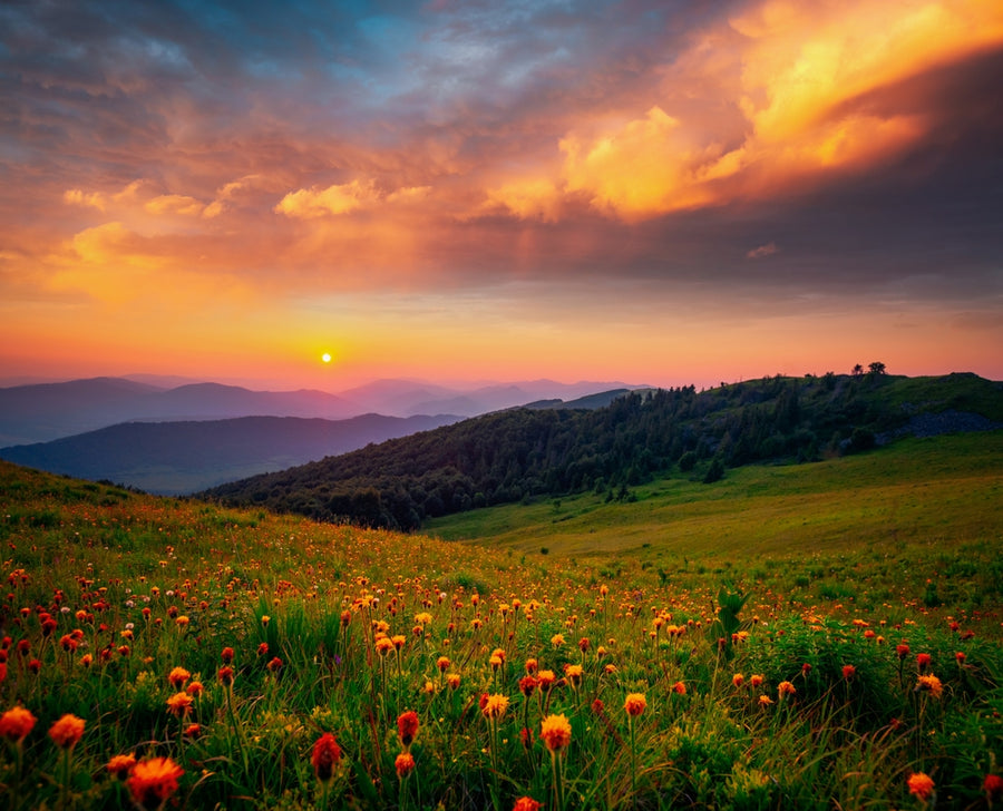 Tips for Capturing Stunning Sunrises and Sunsets