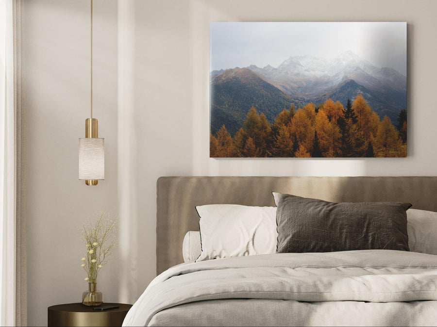 What Types of Images Look Best on Acrylic Photo Prints