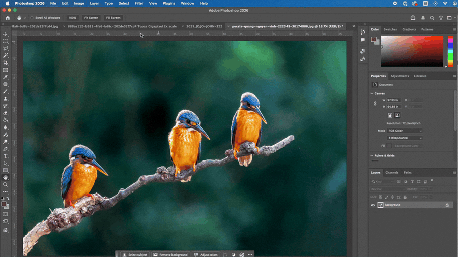 How to Create a Triptych Image in Photoshop (Step-by-Step Guide)