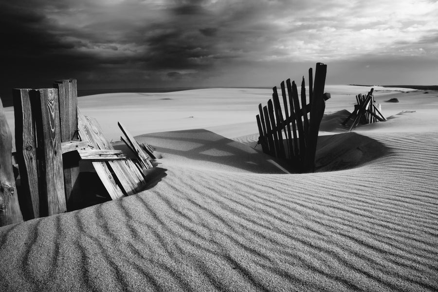 The Basics of Black and White Photography for Beginners