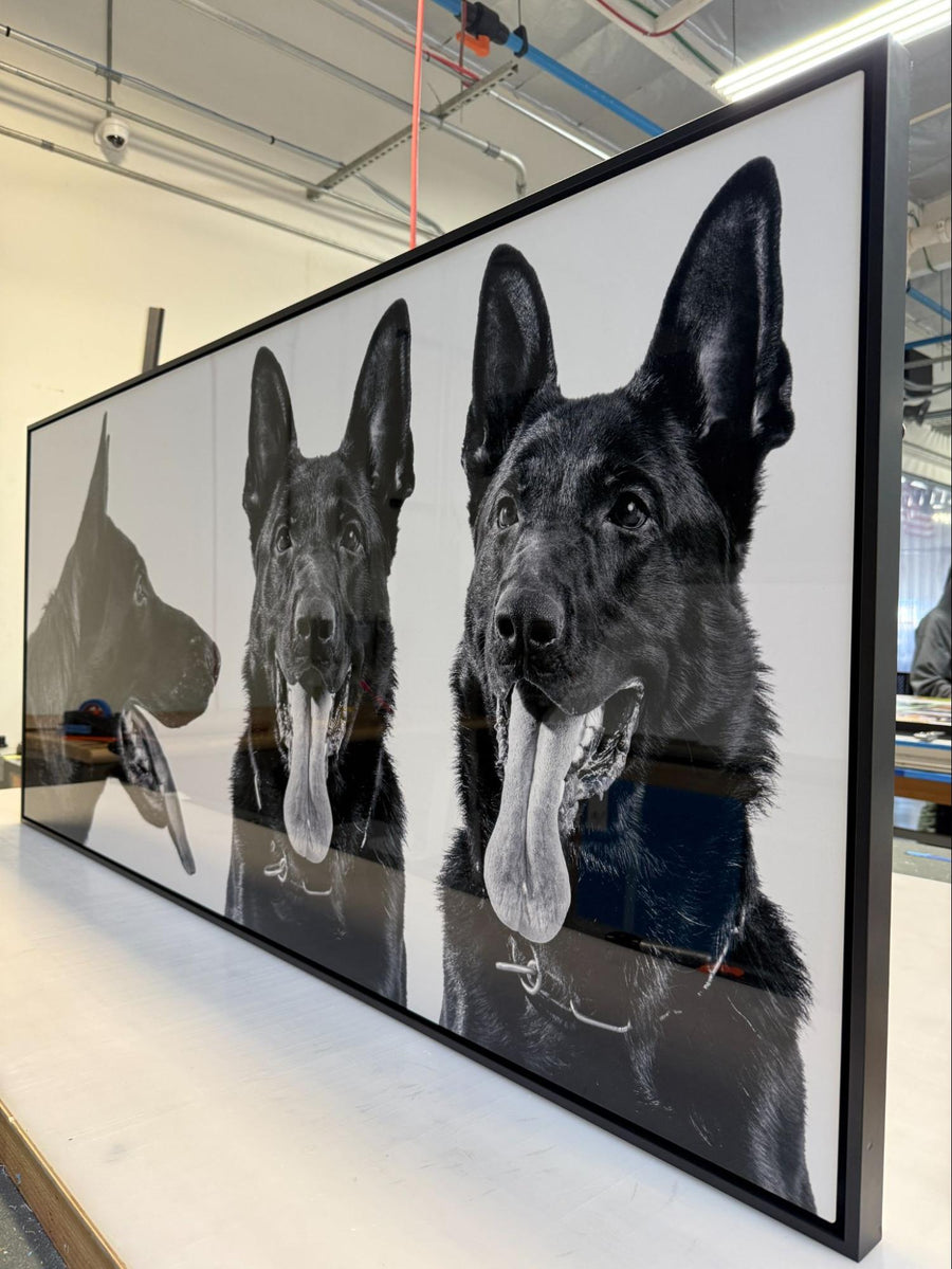 Will My Metal Prints Fade?