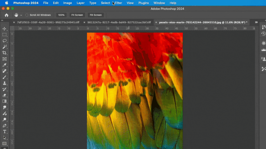 Why Your Print Doesn’t Match Your Screen: Understanding Gamut Warnings