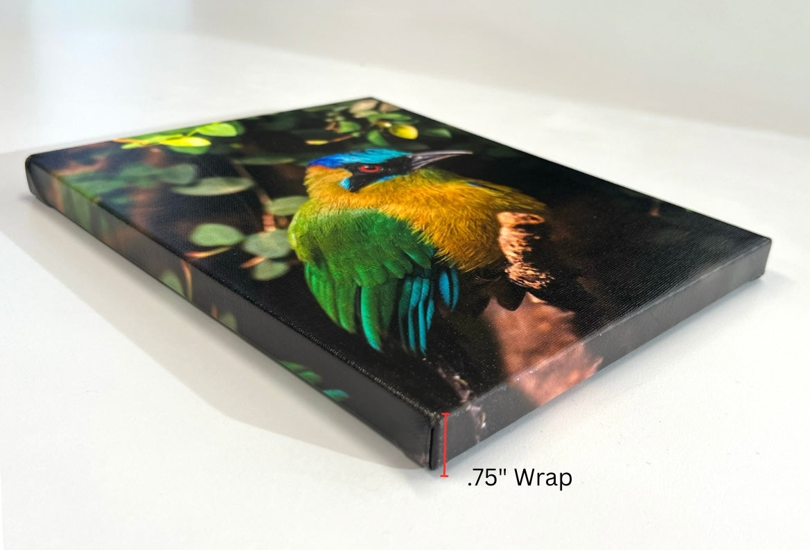 0.75" Gallery Wrap