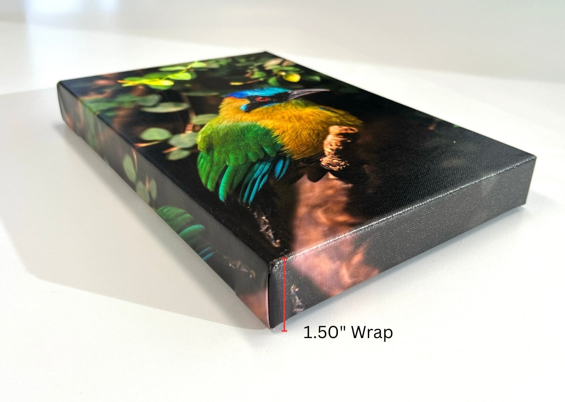 1.50" Gallery Wrap