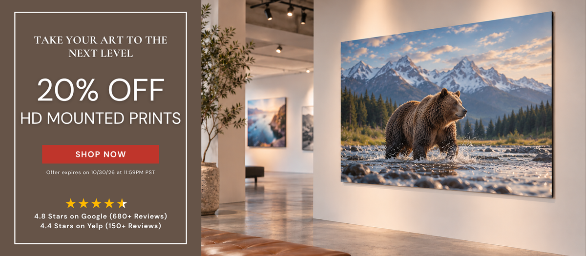 HD Mounted Print Sale