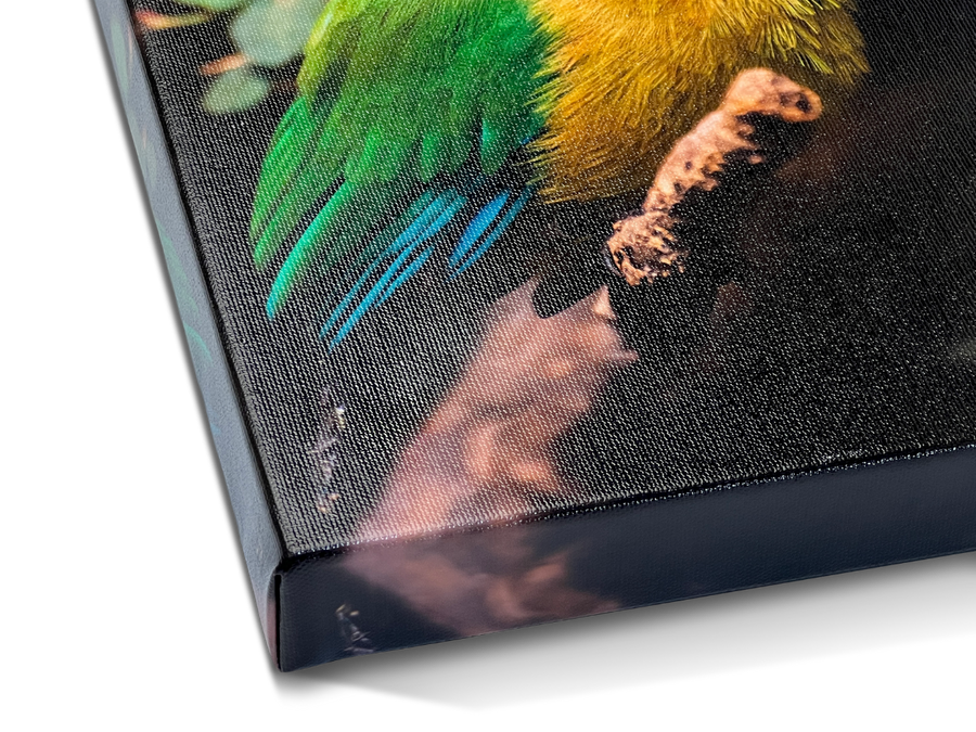 1.50" Gallery Wrap