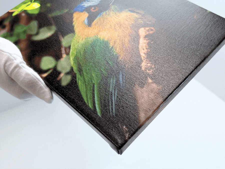 Giclée Canvas