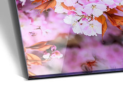 HD Acrylic Prints