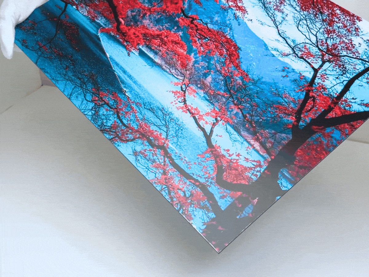 Metallic Photo Paper