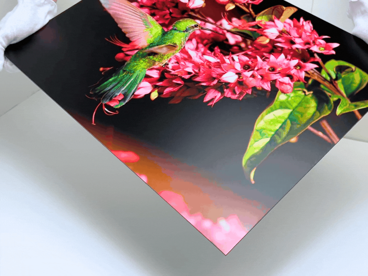 Photo Paper
