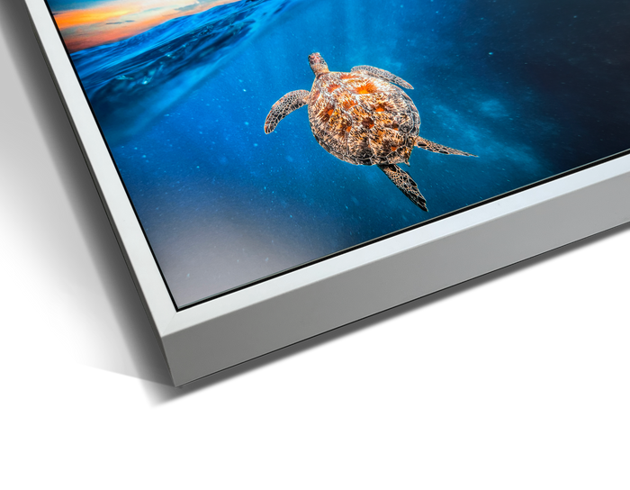 Float White