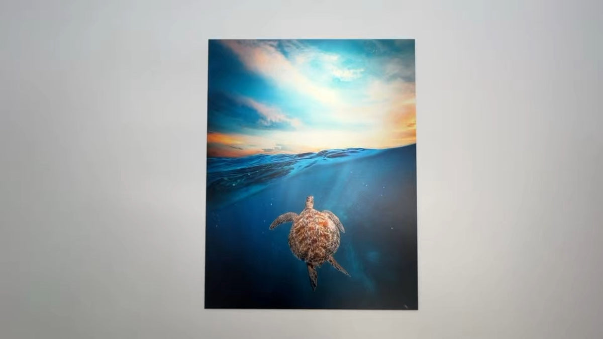 HD Mounted Print displayed as finished wall art