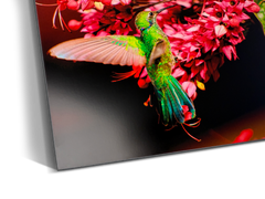 HD Mounted Prints