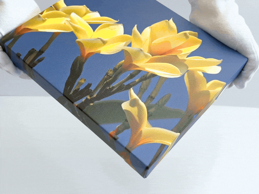 Matte Canvas