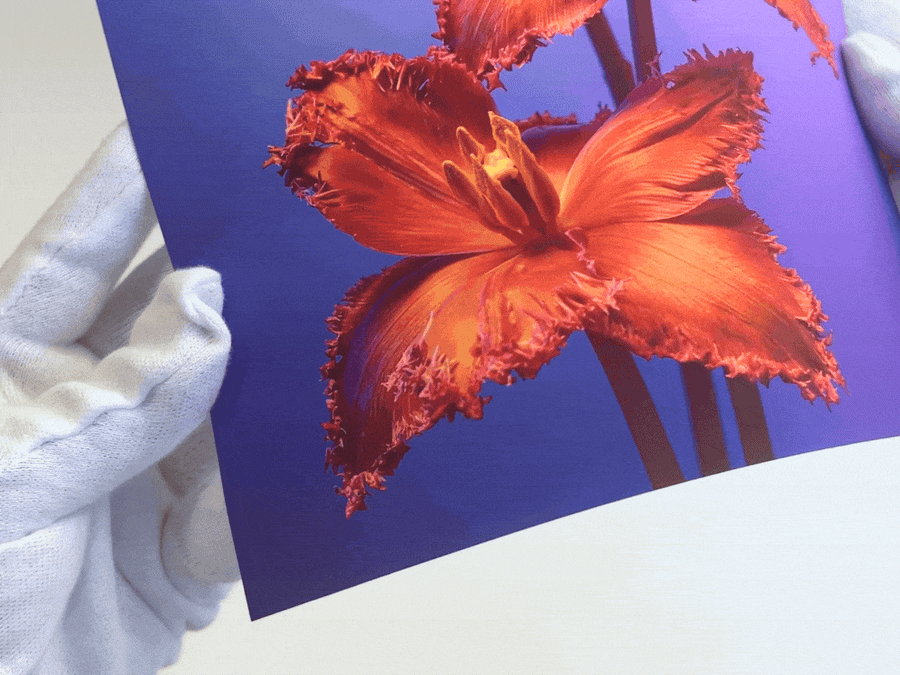 Fine Art Paper