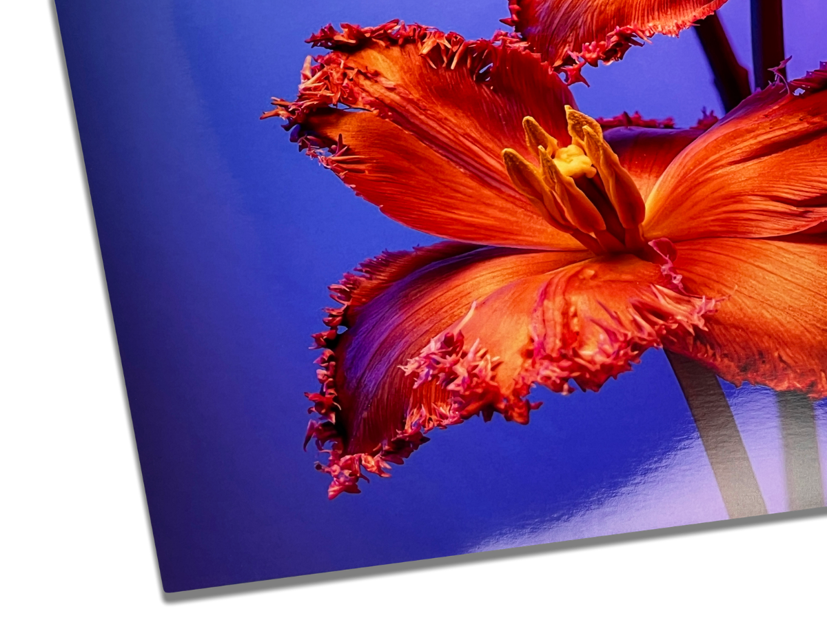 Glossy Paper
