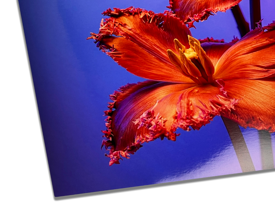Glossy Paper