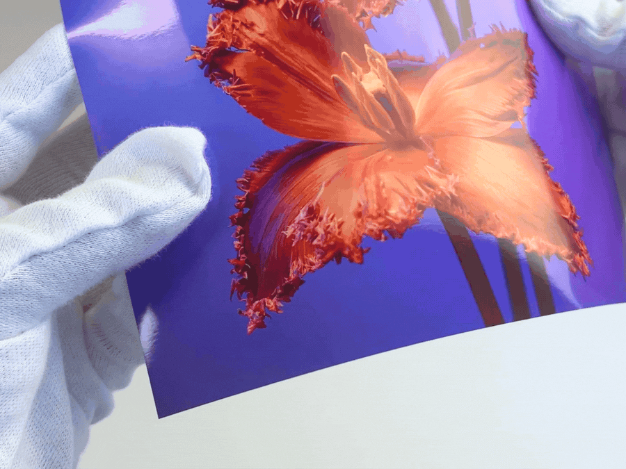Glossy Paper