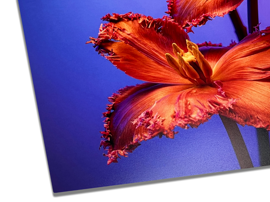 Luster Paper