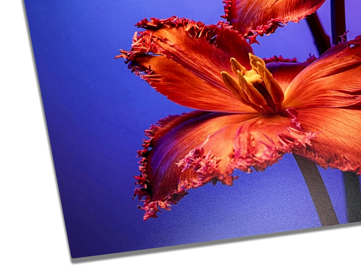 Luster Paper