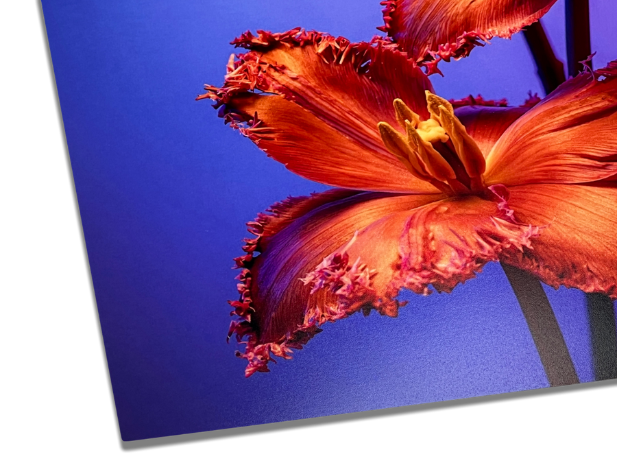 Luster Paper