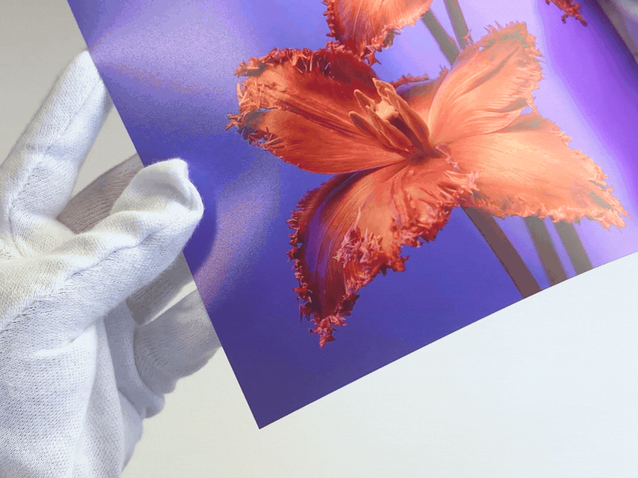 Luster Paper