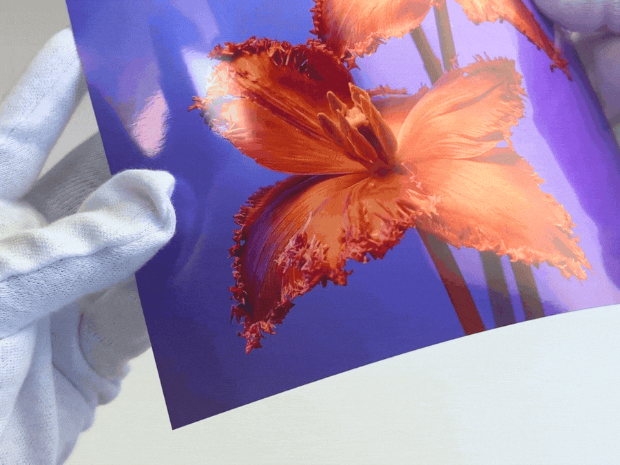 Metallic Paper