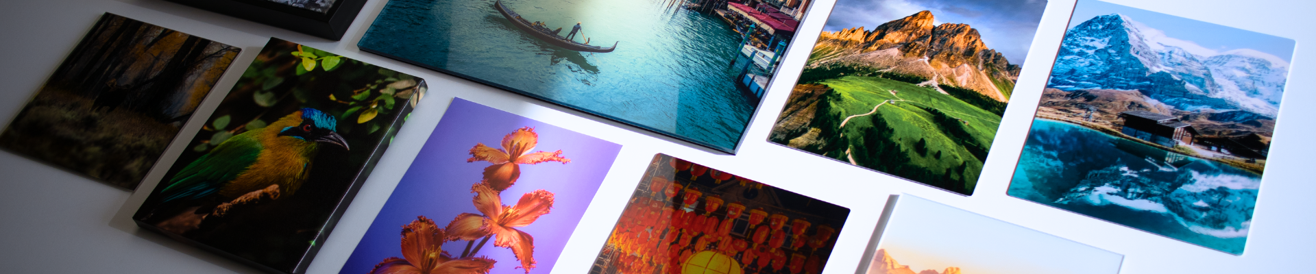 Photographer examining a fine art print in studio lighting