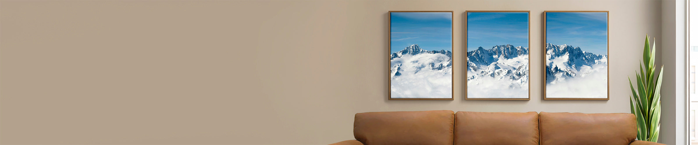 Canvas Prints