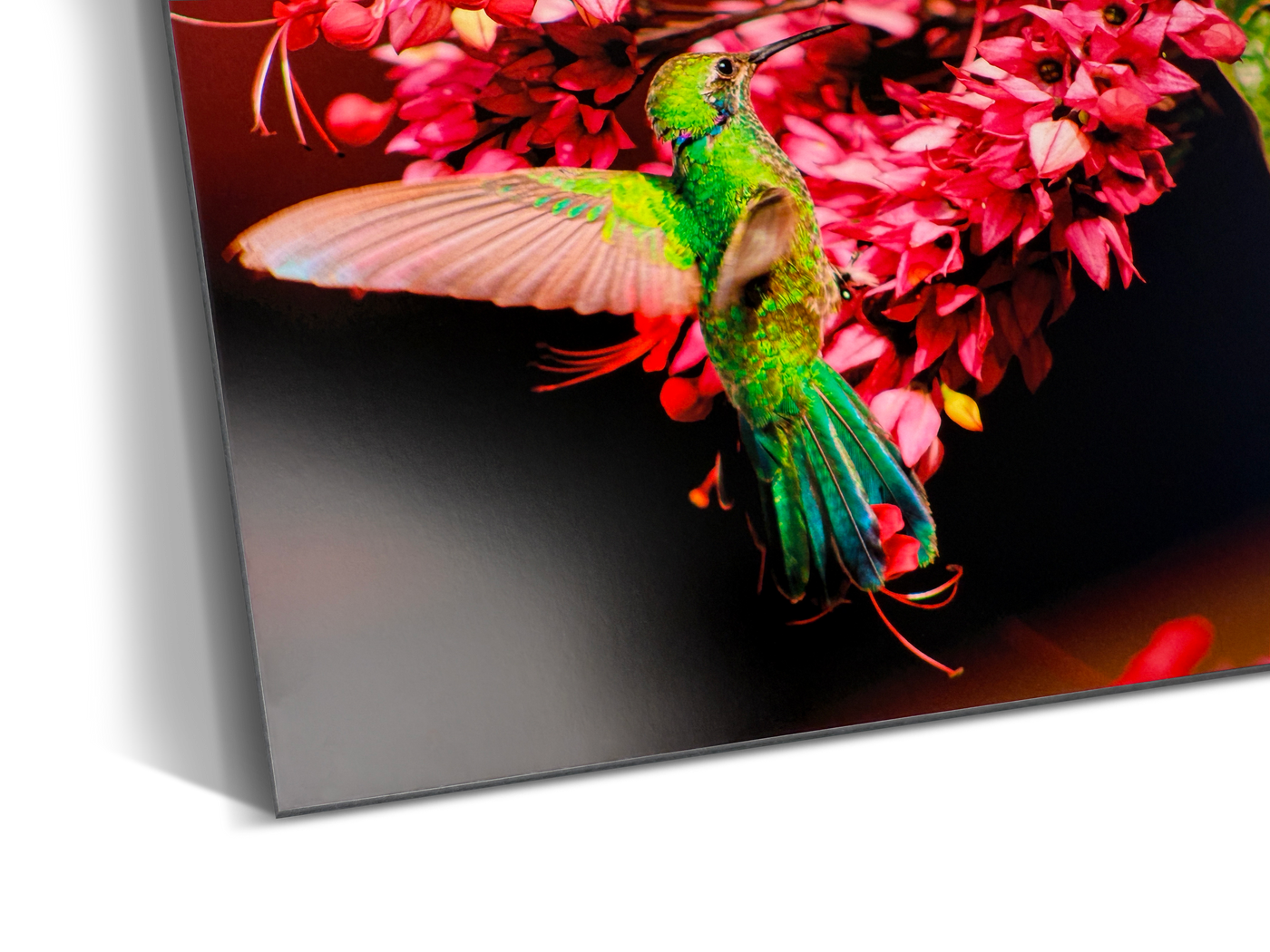 Photo Paper